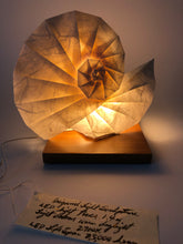 Load image into Gallery viewer, Origami Light Sculpture - Spiral