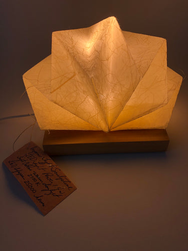 Origami Light Sculpture Burst 5